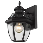 Westover Outdoor Wall Sconce - Black / Clear