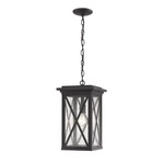 Brookside Outdoor Pendant - Black / Clear Seedy