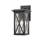 Brookside Outdoor Wall Sconce - Black / Clear Seedy