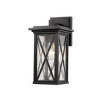 Brookside Outdoor Wall Sconce - Black / Clear Seedy