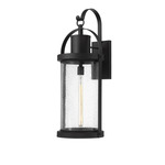 Roundhouse Outdoor Wall Light - Black / Clear Seedy