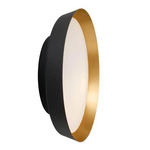 Boop LED Wall / Ceiling Light - Gold / Black