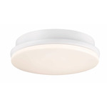 Kute Ceiling Fan Light Kit - Matte White