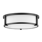 Lowell Opal Ceiling Light - Black / Etched Opal