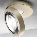 Nautilus Ceiling Light - Matte Champagne