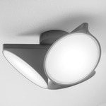 Orchid Ceiling Light - Anthracite Grey / Opal