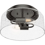 Hartland Ceiling Light - Noble Bronze / Clear Seeded