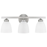 Jameson Bathroom Vanity Light - Brushed Nickel / Soft White