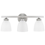 Jameson Bathroom Vanity Light - Brushed Nickel / Soft White