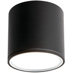 Everly Outdoor 3000K Ceiling Light - Black / Frosted