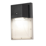 Wall Pack Outdoor Wall Sconce - Black / Prismatic