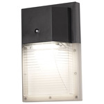 Wall Pack Outdoor Wall Sconce - Black / Prismatic