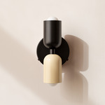 Up Down Wall Sconce - Black Canopy / Black Upper Shade