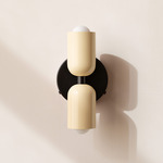 Up Down Wall Sconce - Black Canopy / Bone Upper Shade