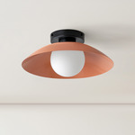 Arundel Orb Surface Mount - Black Canopy / Peach Shade