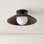 Arundel Orb Surface Mount - Black Canopy / Patina Brass Shade