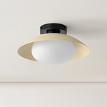 Arundel Mushroom Surface Mount - Black Canopy / Bone Shade