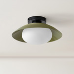 Arundel Mushroom Surface Mount - Black Canopy / Reed Green Shade