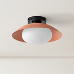 Arundel Mushroom Surface Mount - Black Canopy / Peach Shade