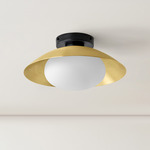 Arundel Mushroom Surface Mount - Black Canopy / Brass Shade