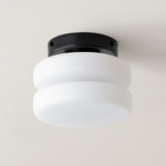 Puck Surface Mount - Black Canopy / White