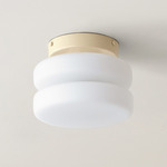 Puck Surface Mount - Bone Canopy / White