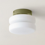 Puck Surface Mount - Reed Green Canopy / White