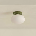 Mushroom Surface Mount - Reed Green / White