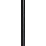 Accessory 12 Inch Downrod Stem - Black
