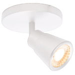 Solo 120V Monopoint Spot Light - White