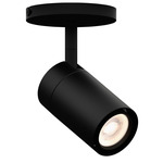 GX15 Monopoint Ceiling Light - Black