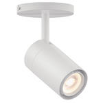 GX15 Monopoint Ceiling Light - White