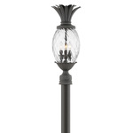 Pineapple 12V Outdoor Large Post / Pier Mount - Museum Black / Clear Optic