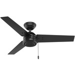 Cassius Indoor/Outdoor Ceiling Fan - Matte Black