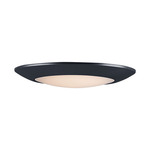 Diverse Non-T24 3000K Wet Location Ceiling Light - Black / White