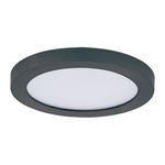 Chip Outdoor Round Flush Ceiling Light - Black / White