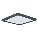 Chip Outdoor Square Flush Ceiling Light - Black / White