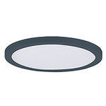 Chip Outdoor Round Flush Ceiling Light - Black / White