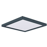 Chip Outdoor Square Flush Ceiling Light - Black / White