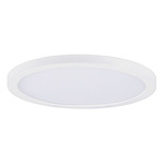 Chip Outdoor Round Flush Ceiling Light - White / White