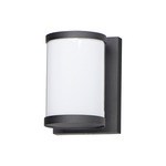 Barrel Outdoor Wall Sconce - Black / White