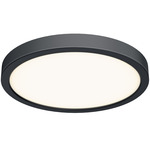 Delta Color Select Round Outdoor Wall / Ceiling Light - Black / Frosted