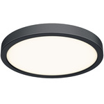 CFLEDR Round Color Select Ceiling Light Fixture - Black / Frosted