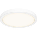 Delta Color Select Round Outdoor Wall / Ceiling Light - White / Frosted