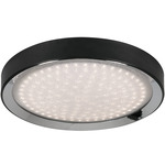 Belle Ceiling Light Fixture - Black / Clear