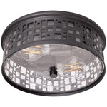 Roscoe Ceiling Light Fixture - Black / Clear Seedy