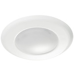 Slim Ceiling Light Fixture - White / Frosted