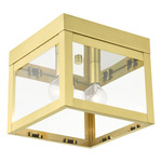 Nyack Outdoor Ceiling Light Fixture - Satin Brass / Clear