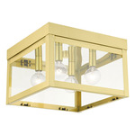 Nyack Outdoor Ceiling Light Fixture - Satin Brass / Clear