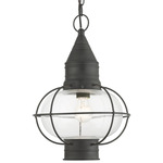 Newburyport Outdoor Pendant - Charcoal / Clear